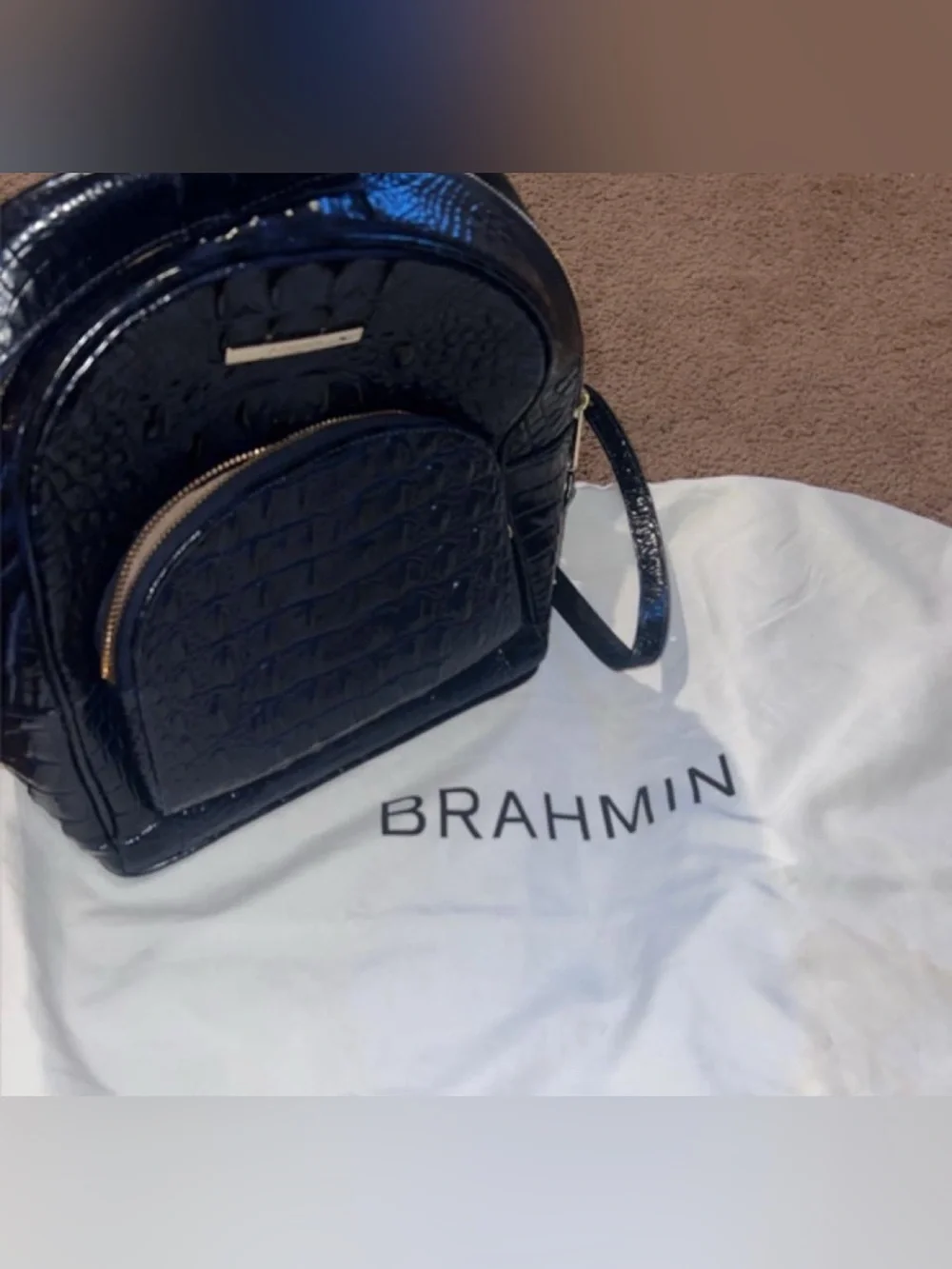 Brahmin backpack